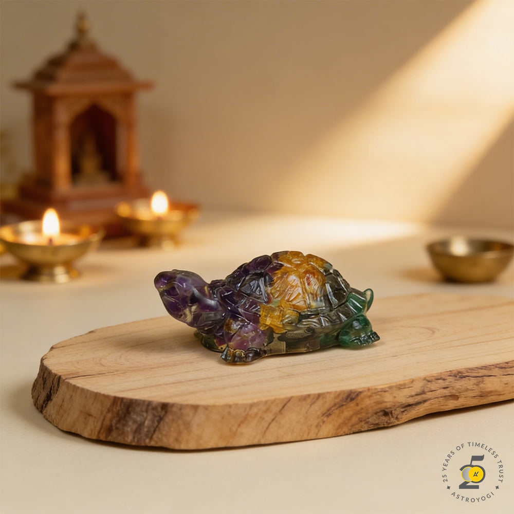 Vastu Dhan Yog Tortoise